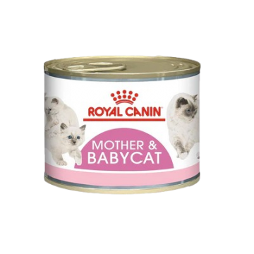 Royal Canin Wet Food Mother & Baby Cat 195g (12 cans)